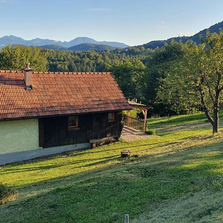 Hiska Ob Gozdu Villa Polzela Kültér fotó