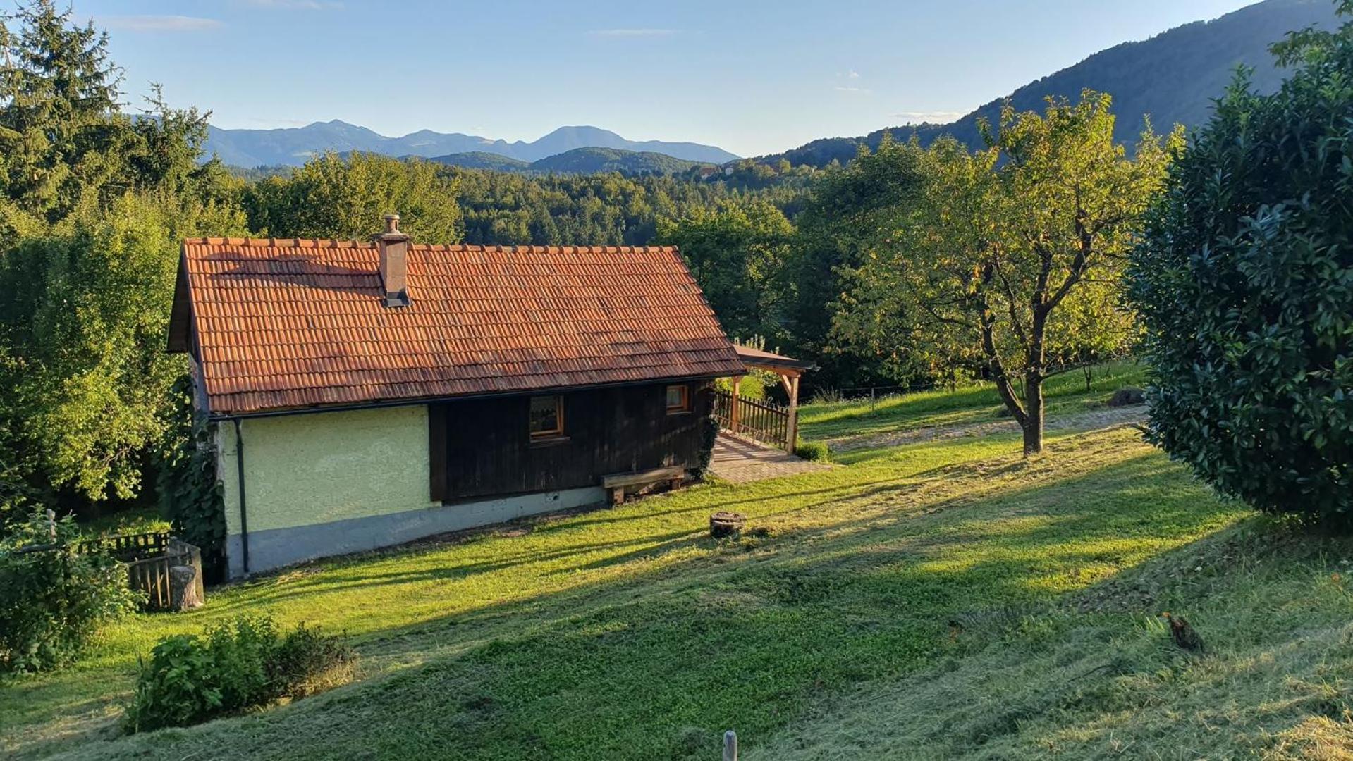 Hiska Ob Gozdu Villa Polzela Kültér fotó