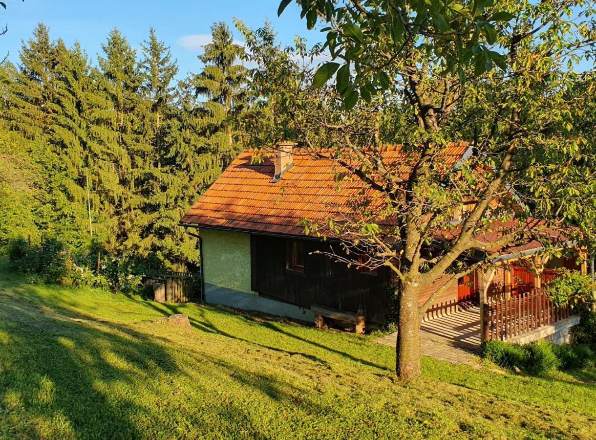 Hiska Ob Gozdu Villa Polzela Kültér fotó